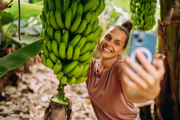 istock Banana plantation is so amazing 2177219664