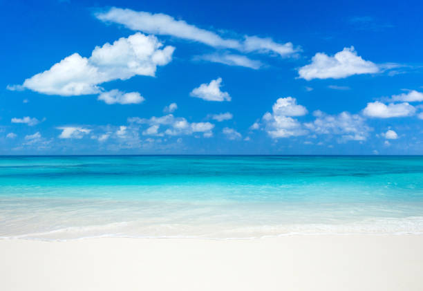 istock beautiful beach and tropical sea 2177219761