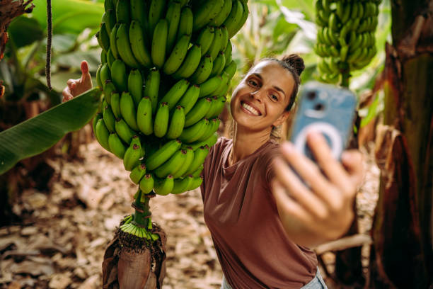 istock Banana plantation is so amazing 2177219841