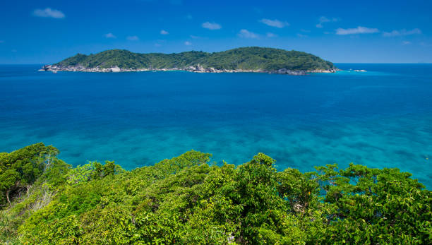 istock beach and tropical sea 2177219852