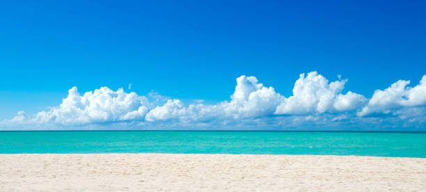 istock tropical Maldives island with white sandy beach and sea 2177219899
