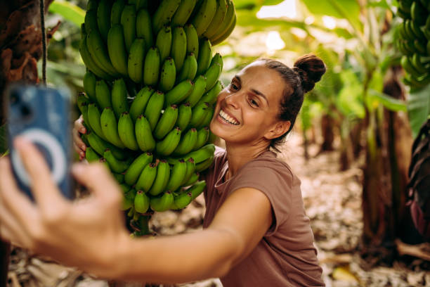 istock Banana plantation is so amazing 2177220157