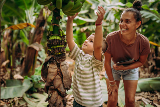 istock Trying to pick up bananas 2177220200