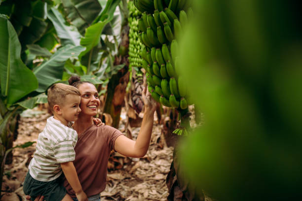 istock Trying to pick up bananas 2177220393