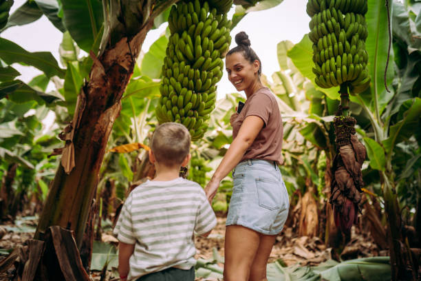 istock Trying to pick up bananas 2177220458