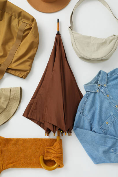 istock Stylish female fall season clothes and accessories 2177222544