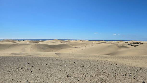 istock Dunes of Maspalomas, Gran Canaria 2177222631