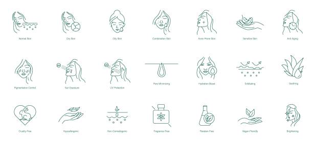 ilustraciones, imágenes clip art, dibujos animados e iconos de stock de conjunto completo de iconos para el cuidado de la piel: piel normal, seca y grasa, piel mixta, piel propensa al acné, piel sensible, antienvejecimiento, control de la pigmentación, exposición al sol, conjunto de iconos de protección uv - antiarrugas