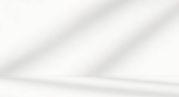 istock Empty white room studio with leaves shadow overlay effect for product presentation display. 2177224991
