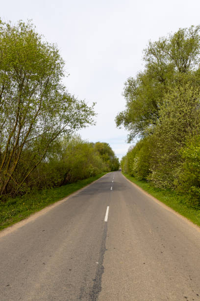 istock narrow road through the forest in rural areas 2177226813