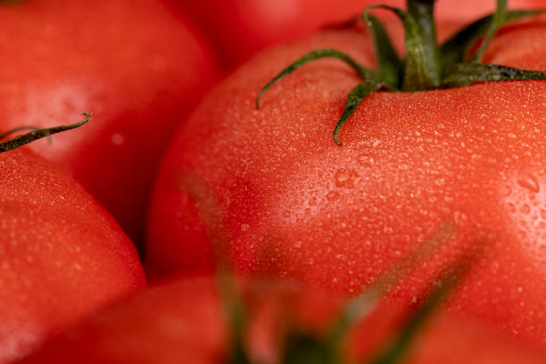 istock wet ripe red tomatoes on the table 2177226845
