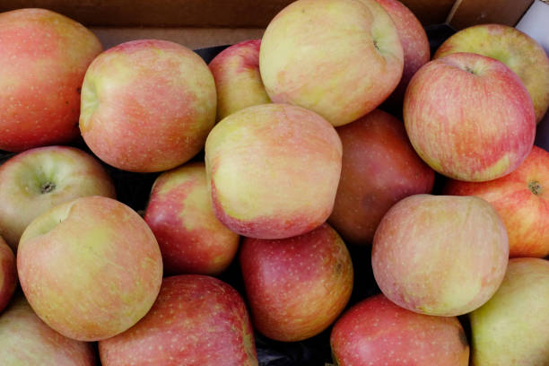 Red apples at a market in France