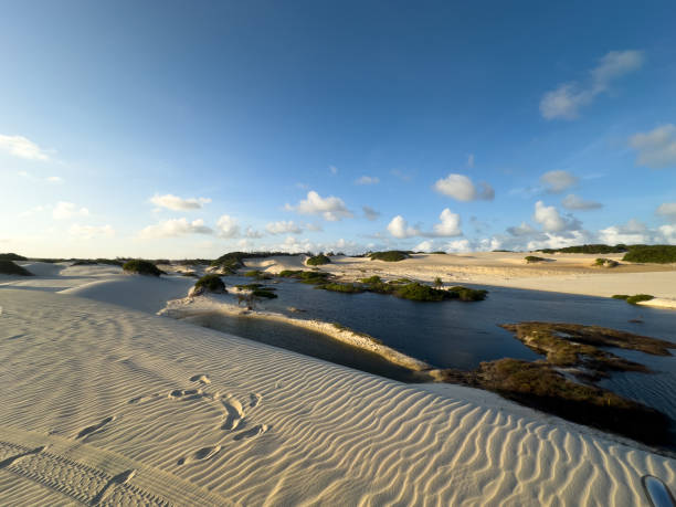 istock Genipabu dunes, Brazil at sunset 2177229549
