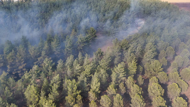 istock Aerial View of a Smoke-filled Forest 2177231907