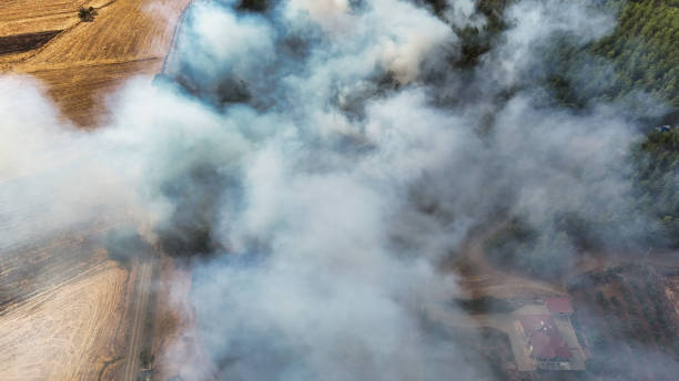 Aerial shot of thick smoke from a forest fire spreading over farmland and trees, with a house visible on the edge of the forest.