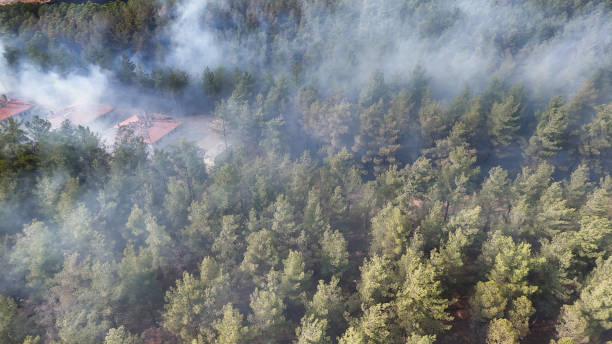 istock Aerial View of Smoke Over Forest 2177232303