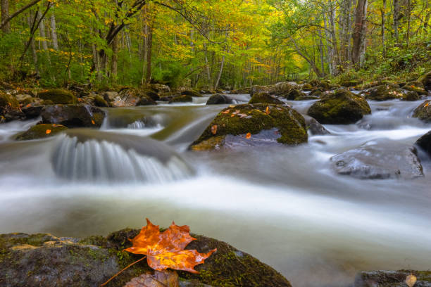 istock Early fall colors on the Virginia creek 2177232418