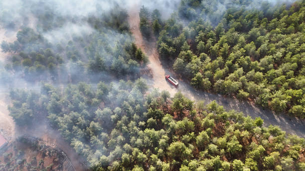 Fire Truck on a Smoke-Covered Forest Road