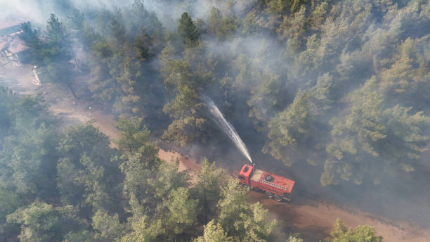 istock Firefighting Truck Spraying Water in the Forest 2177233042