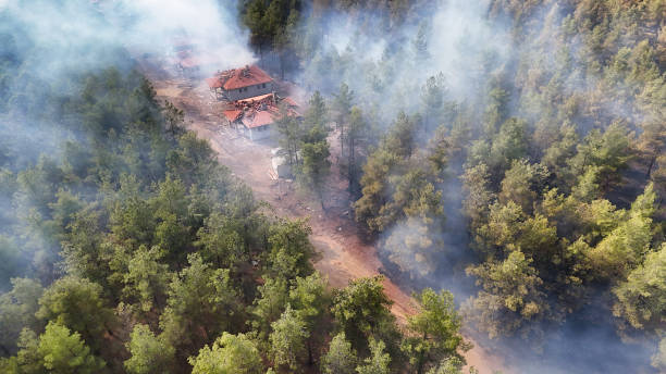 istock Smoke Rises Over Forested Area Near Homes 2177235386
