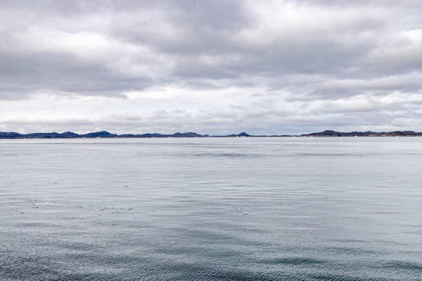 View over the arctic fjord outside Nuuk, the capital of Greenland - even in the middle of the summer there are floating ice