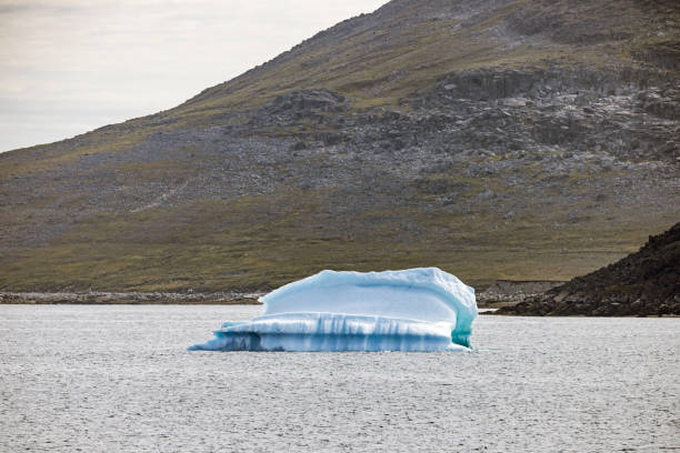 istock Floating ice in an arctic fjord 2177236812
