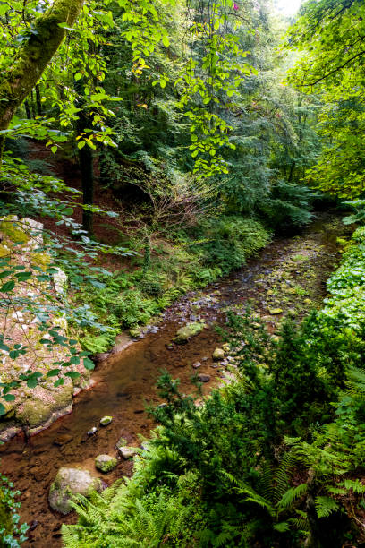 Brown, iron-rich stream flowing through a valley in Anglesey, Wales