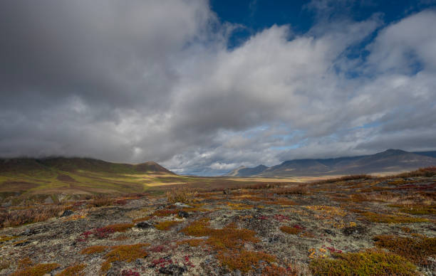 istock Tundra in Tombstone Territorial Park, Yukon 2177240428