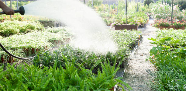 istock Watering plants in a garden center 2177242891
