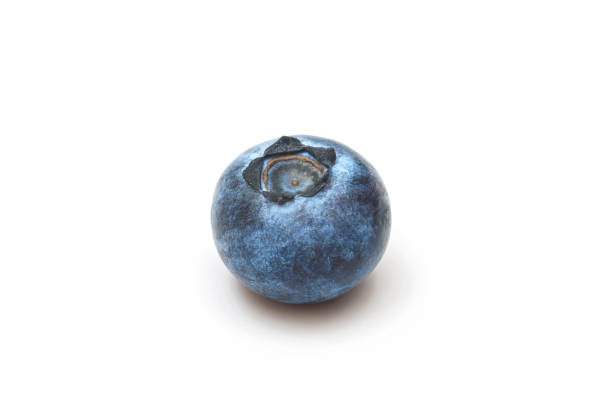One ripe blueberry isolated on white background.