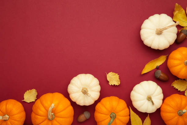 istock Autumn composition. Fresh orange and white pumpkin with autumn leaves on red background. 2177247278