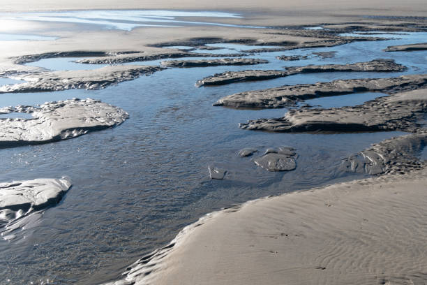 istock Low tide, which drains the seawater from the North Sea 2177247455