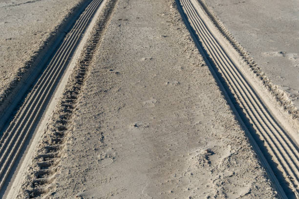 istock rough tire tracks on the north sea beach 2177247465