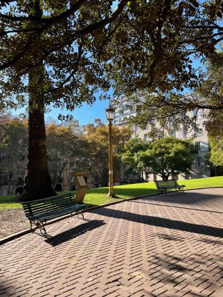 istock Morning at the park 2177248573