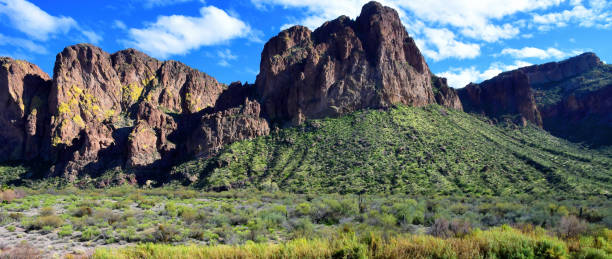 istock Salt River Recreation Area Arizona 2177250074