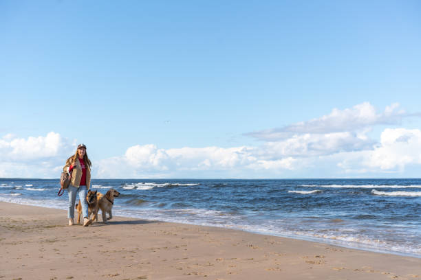 istock Woman walking on seaside with dogs 2177253849