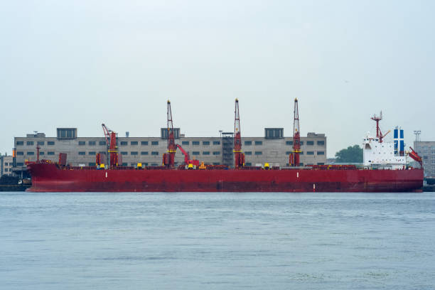 Ships, boats are docked at bustling port, reflecting activity on scene features variety of vessels scenic view of landscape