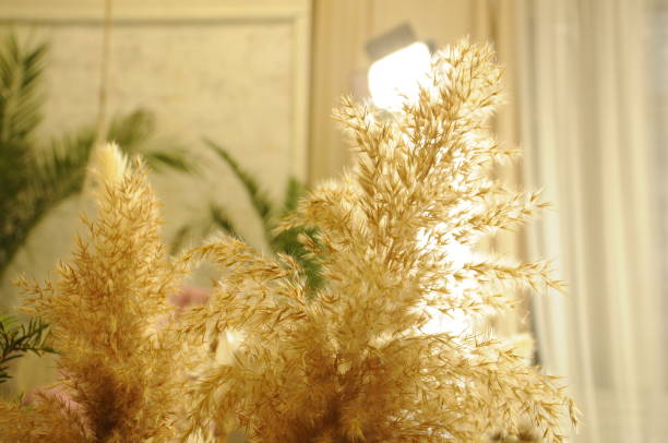 istock Close-up view of a Christmas tree background 2177259304