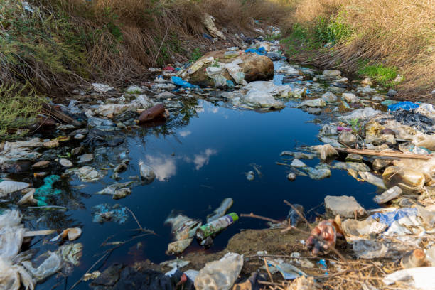 A clear pond reflects the sky while plastic bottles and bags clutter the surrounding banks, highlighting the urgent issue of pollution in this natural area