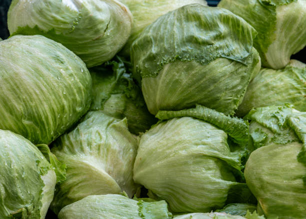 Close up of green salad on greengrocer's counter
