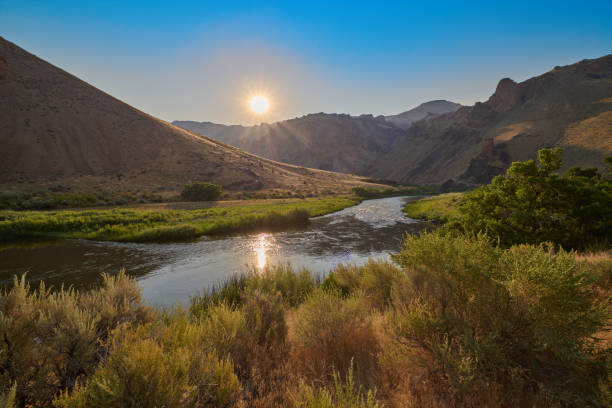A view along the Payette River with whitewater rapids and dense forest in this almost perfect spot for fly fishing in Idaho