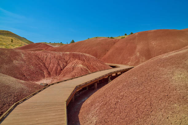 istock Nature trail at Painted Hills, Oregon 2177263999