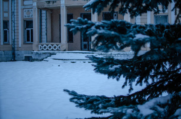 A picturesque and serene winter scene showcasing beautiful snowcovered trees alongside a vibrant colorful building