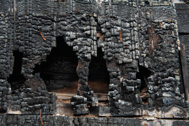 istock Burnt wood texture provides a dramatic contrast and serves as a rustic background 2177268676