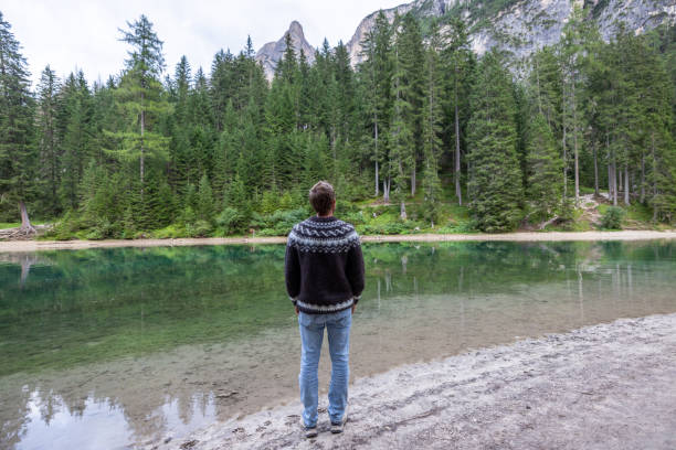 istock Tranquil Moments at the Forest Shore 2177271110