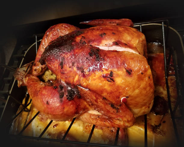 istock Golden-Brown Roasted Thanksgiving Turkey 2177280299