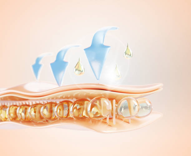 istock 3d skin structure with gold oil drop, vitamin serum or collagen essence render background. Epidermis cell layer with liquid cosmetic retinol droplets and blue arrows, skincare concept 2177280905