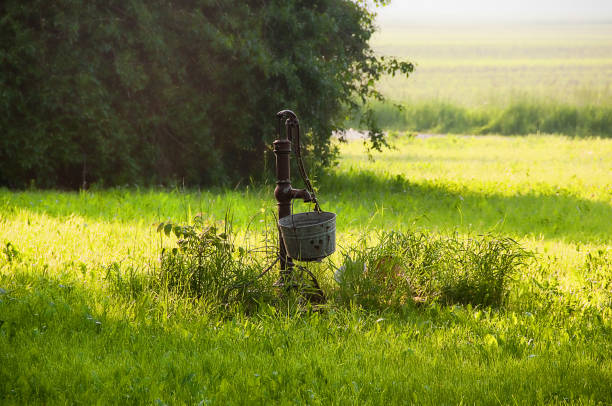Rural Hand Pump and Bucket A rural hand pump and rustic bucket in the early morning light. old fashioned well hand pump stock pictures, royalty-free photos & images