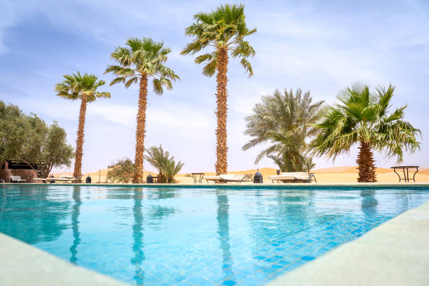 istock Serene Poolside Retreat with Palm Trees in Merzouga Desert 2177287473