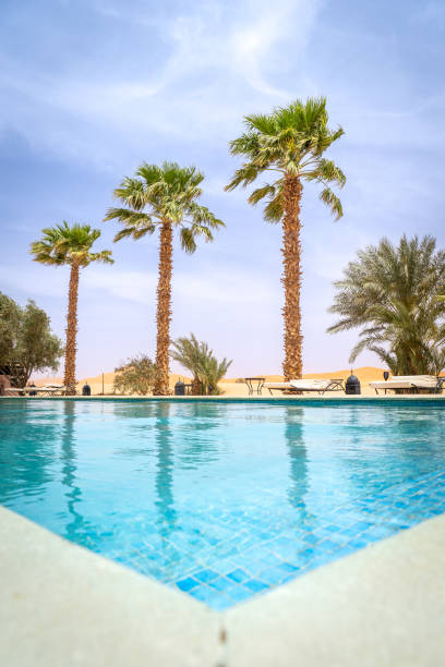 istock Serene Poolside Retreat with Palm Trees in Merzouga Desert 2177287528